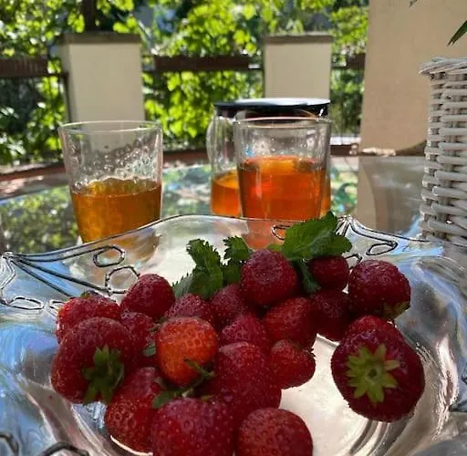 Oaza Borek - Stylowy Apartamento