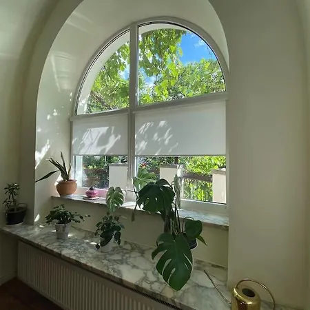 Oaza Borek - Stylowy