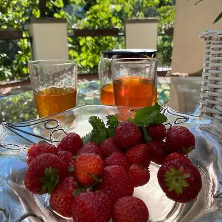 Oaza Borek - Stylowy Apartament