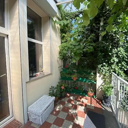 Oaza Borek - Stylowy *