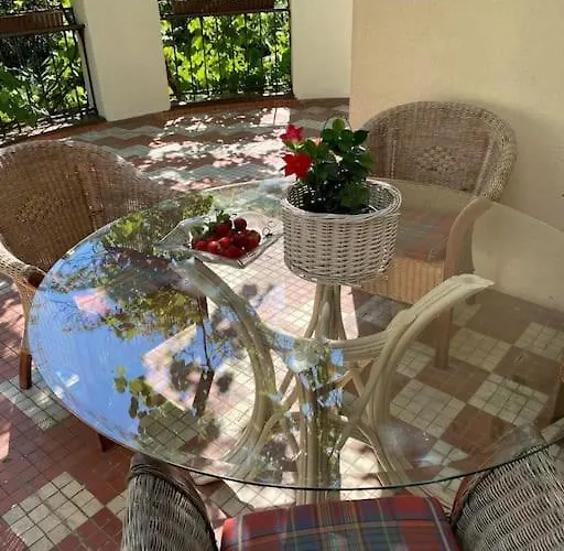 Apartment Oaza Borek - Stylowy